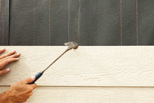 Professional Siding in Calvert City, KY